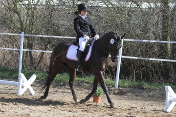 Bild 354 - WBO-Turnier am 9.4.11